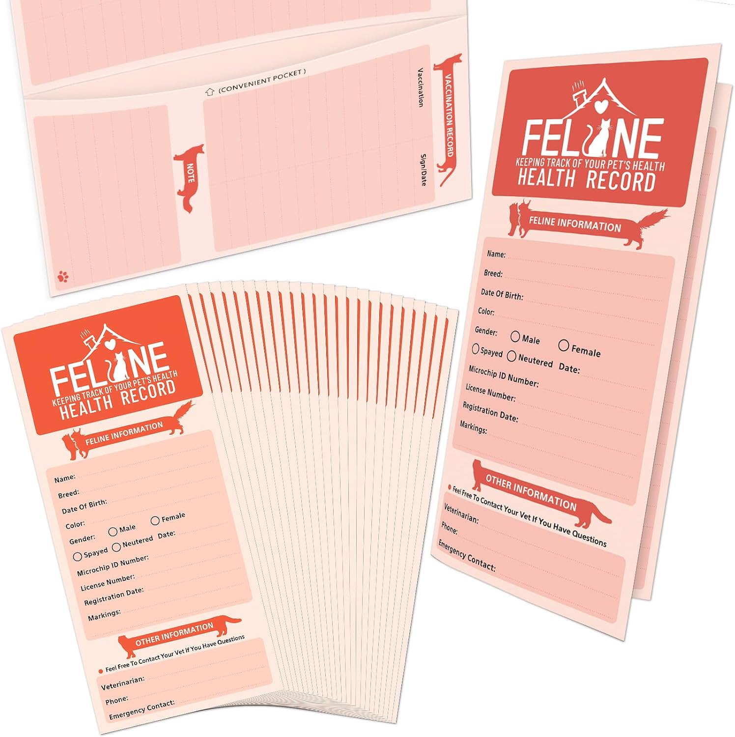 Anzon Mories cat health record cards front view showing peach colored premium layout.