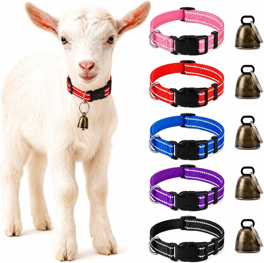 Gindoor brand livestock collar packaging and accessories layout