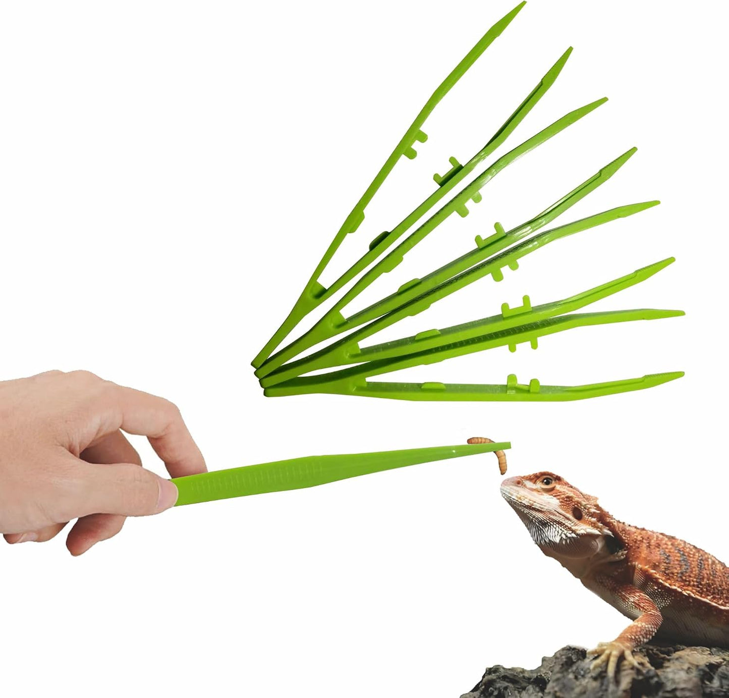 Haizusai 4-Pack Reptile Feeding Tongs set front view
