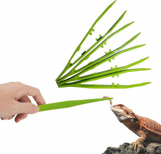Haizusai 4-Pack Reptile Feeding Tongs set front view