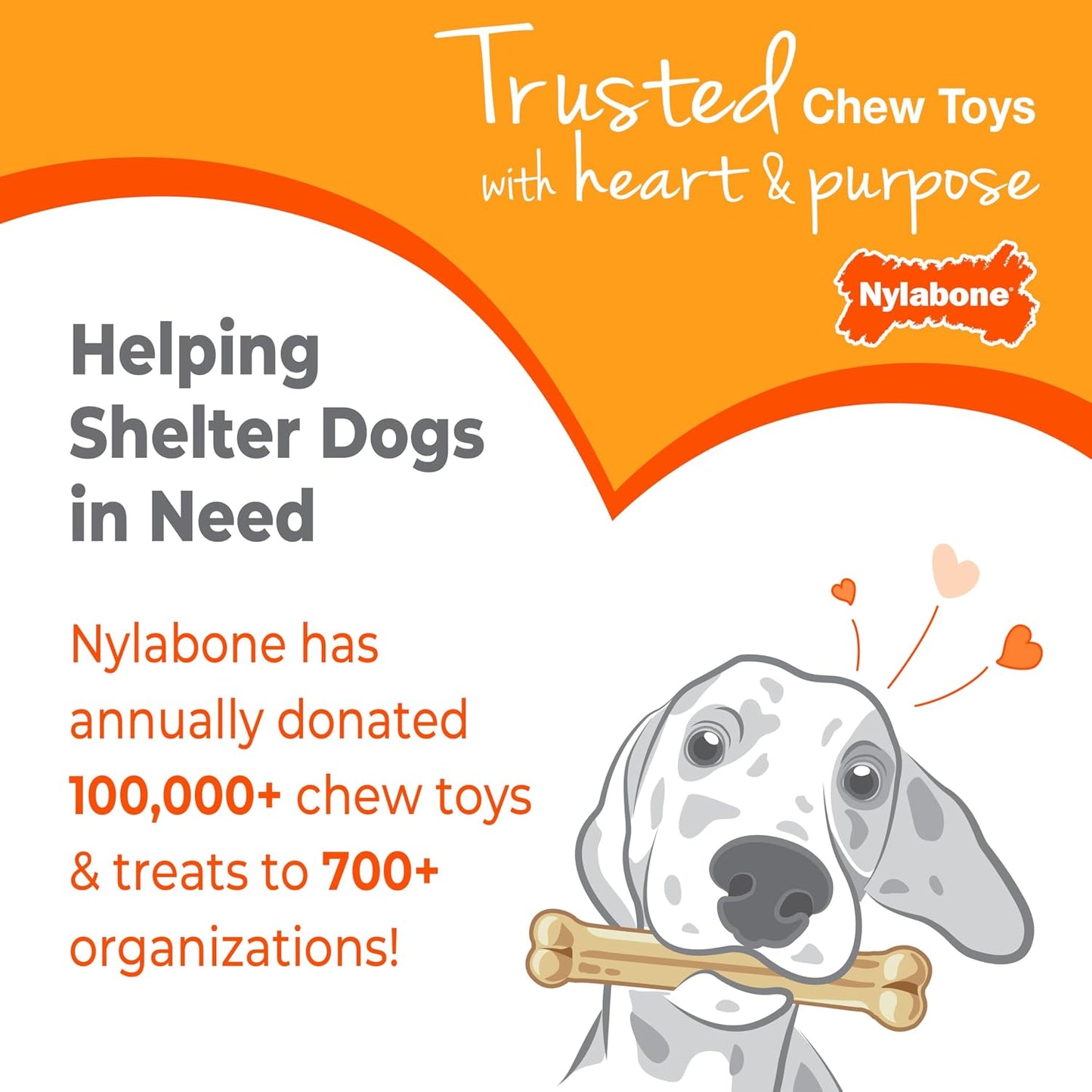 Nylabone Power Chew Groove Bone - Dog Toys for Aggressive Chewers - Durable Dog Toy for Small Breeds - Small Dog Chew Toys - Flavor Medley, Small, Up to 25 Ibs. (1 Count) - Image 9