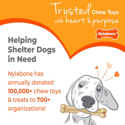Nylabone Power Chew Groove Bone - Dog Toys for Aggressive Chewers - Durable Dog Toy for Small Breeds - Small Dog Chew Toys - Flavor Medley, Small, Up to 25 Ibs. (1 Count) - Image 9