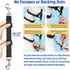 Under chin metal ring attachment on the Barkless training halter where the leash connects for gentle steering