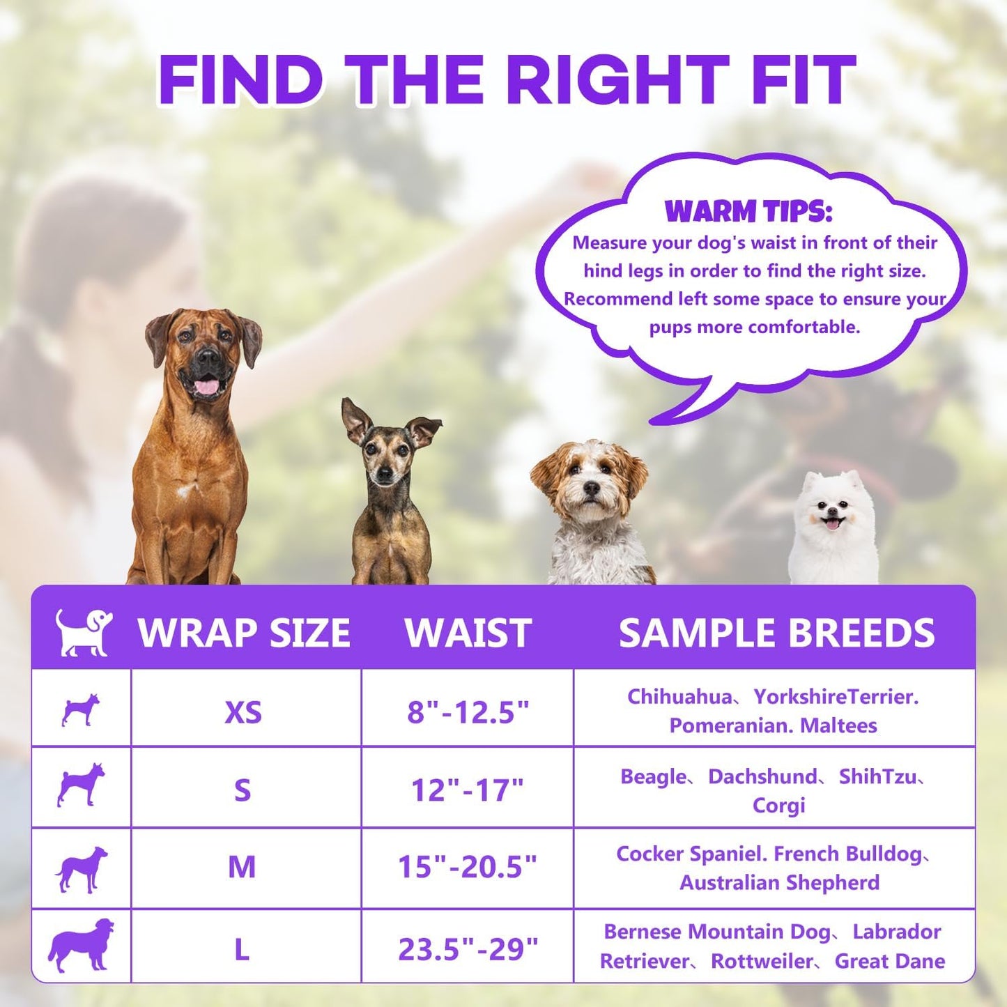 BURVAGY male dog diapers absorbent core demonstration