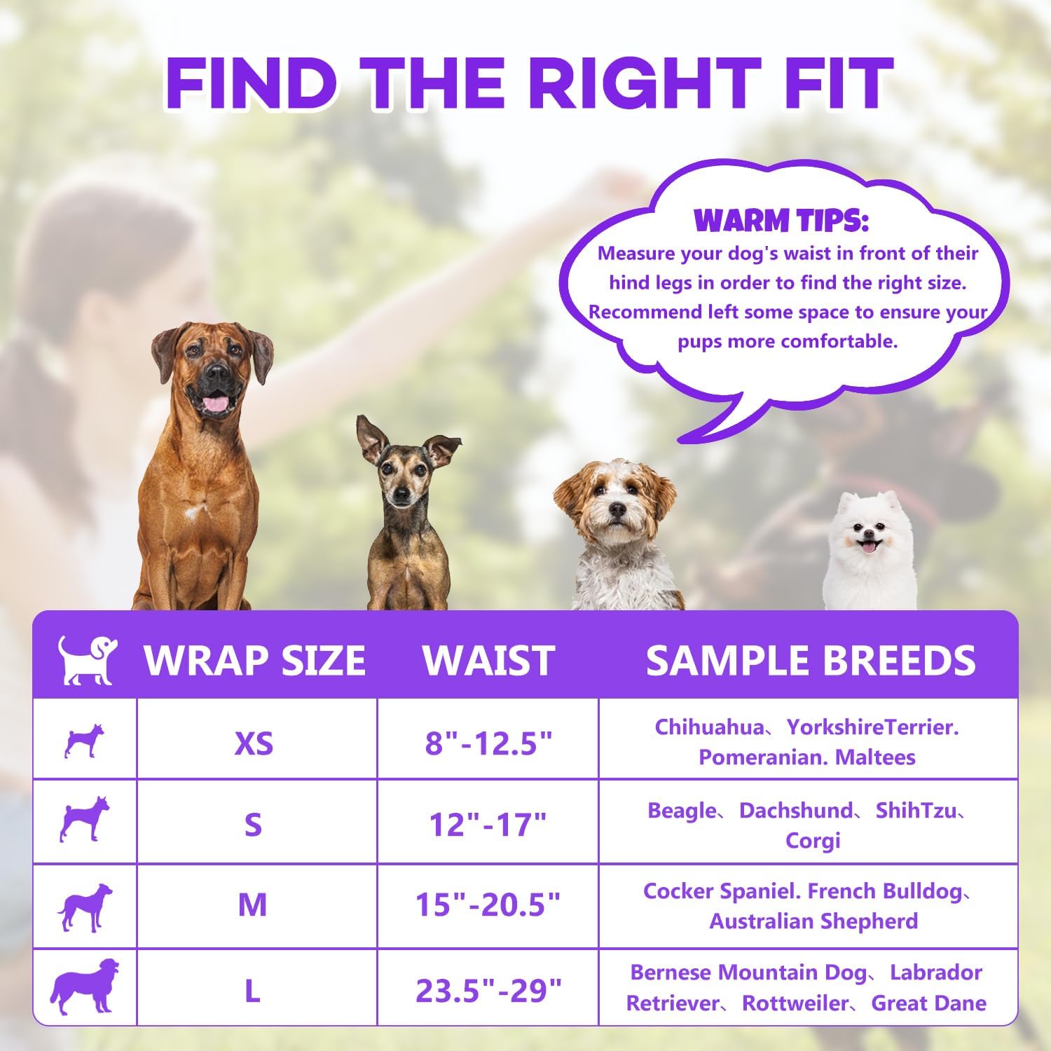 BURVAGY male dog diapers absorbent core demonstration