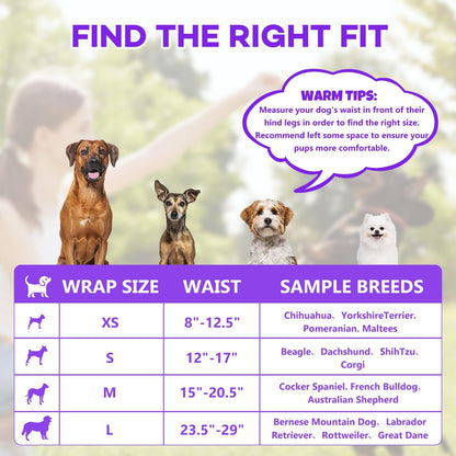 BURVAGY male dog diapers absorbent core demonstration