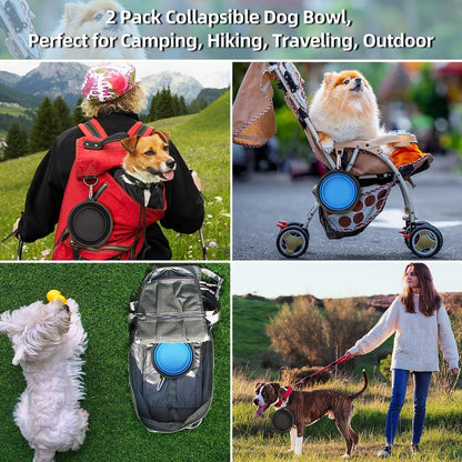 Kytely pet feeding cup dish filled with dry dog kibble during a camping trip setup