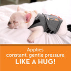 ThunderShirt large dog jacket being adjusted on a pet for thunder relief
