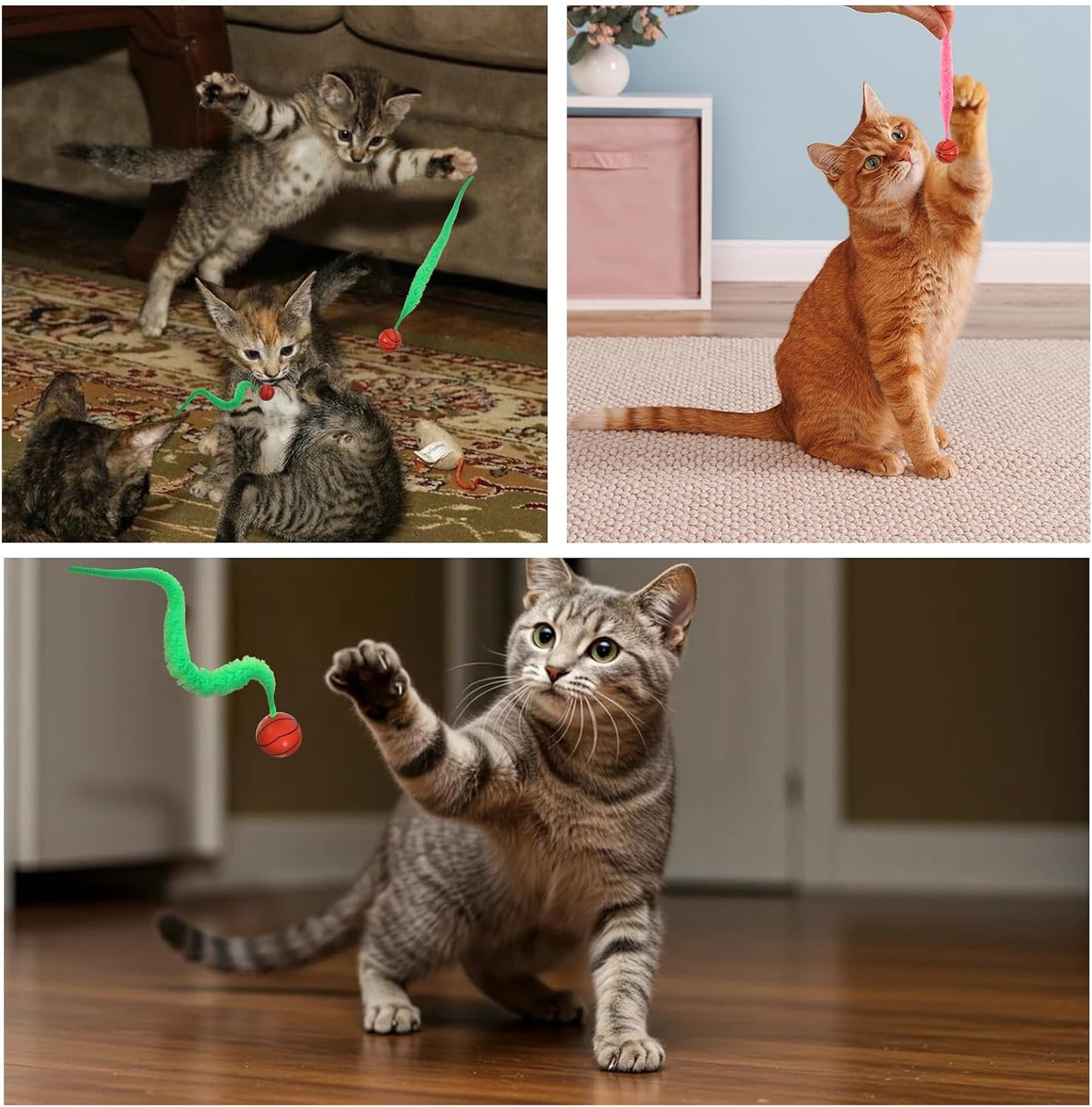 Classicseali cat toy packaging and contents