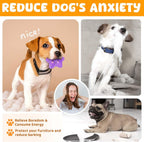 Small dog chewing on soft Loyee puppy toy
