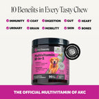 Close up of Pet Honesty 10-in-1 soft chews