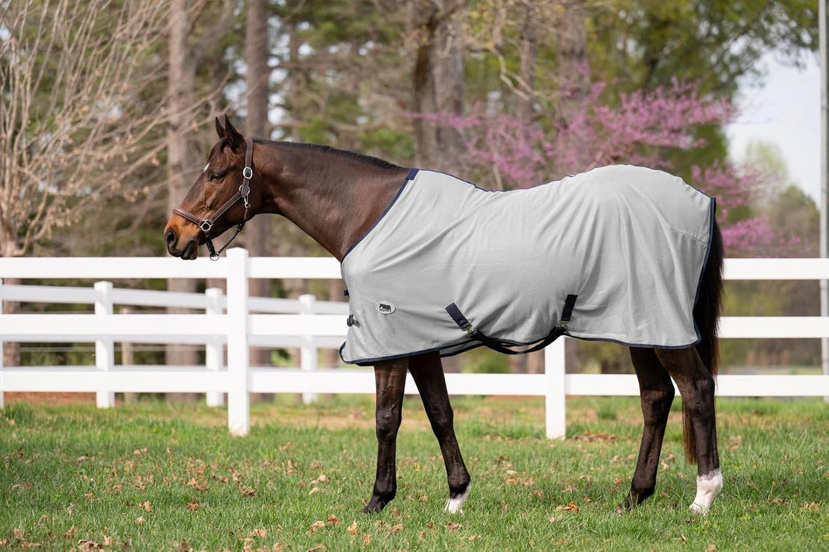 Miller's breathable summer horse blanket showing secure low cross surcingles
