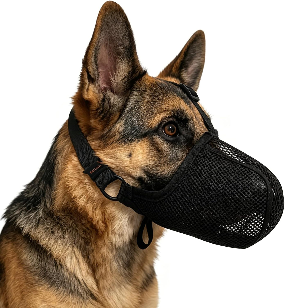 CNSYAF soft mesh dog muzzle front view on a medium sized pet for anti biting protection