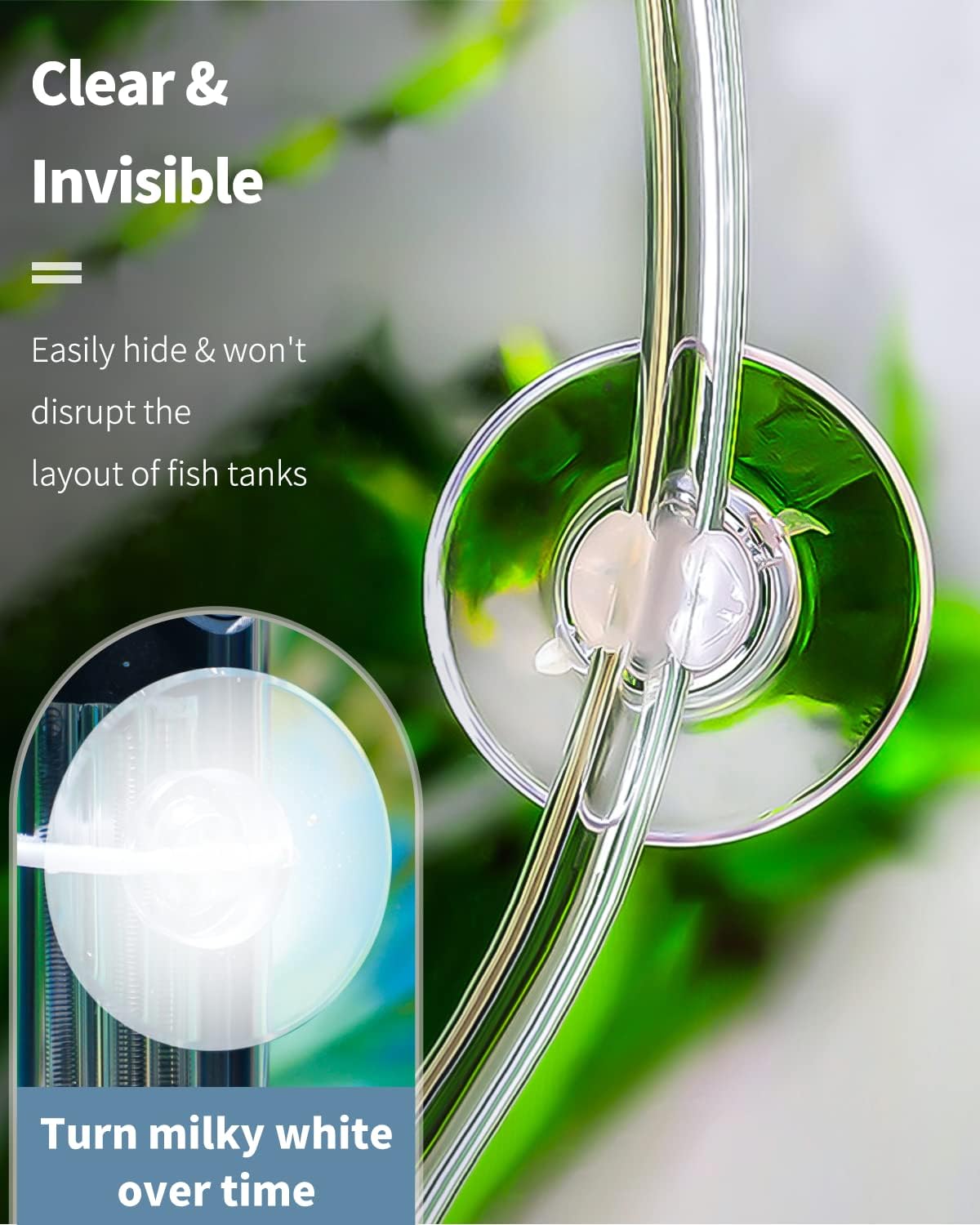 Pawfly suction cup set holding aquarium airline tubing against glass.
