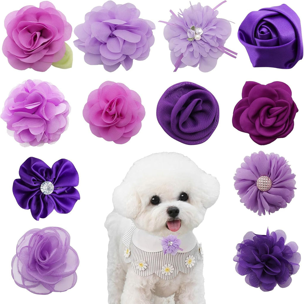 Premium imported pet fashion accessories from Dhthdrh brand showing full packaging assortment