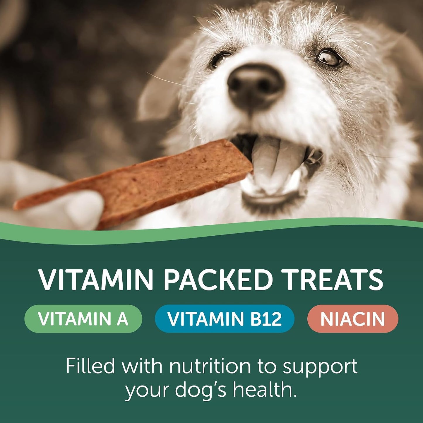 Small dog eating a piece of Healthfuls salmon fillet treat