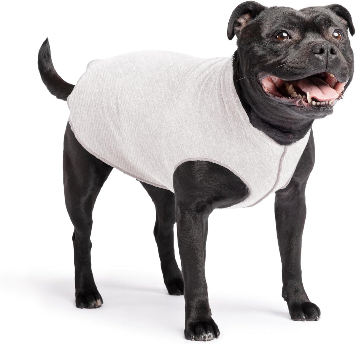 Gold Paw Sun Shield Dog Tee in Pebble Grey front view