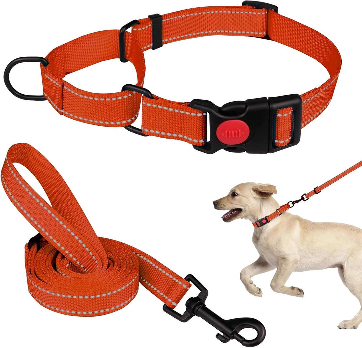 Martingale Dog Collar and Leash Set Martingale Collars for Dogs Reflective Martingale Collar for Small Medium Large Dogs(Hot Pink&L) - Image 14