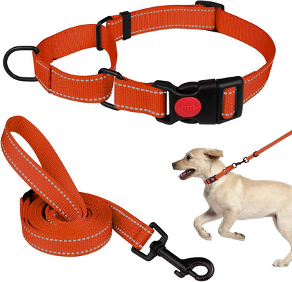 Martingale Dog Collar and Leash Set Martingale Collars for Dogs Reflective Martingale Collar for Small Medium Large Dogs(Hot Pink&L) - Image 14