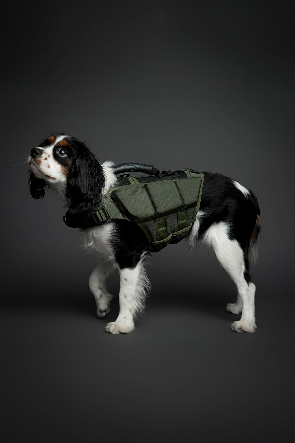 Noah And Paw swimming safety jacket top view featuring rescue grab handle