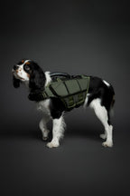 Noah And Paw swimming safety jacket top view featuring rescue grab handle