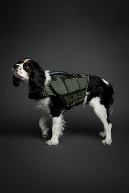 Noah And Paw swimming safety jacket top view featuring rescue grab handle
