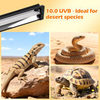 T5 UVB Reptile Light Fixture Combo Kit 8W 10.0 - Complete HO UVB Light for Reptiles with 12.44" Terrarium Hood, Desert UVB Bulb for Bearded Dragon Gecko Tortoise Lizard - Easy to Install and Use - Image 9