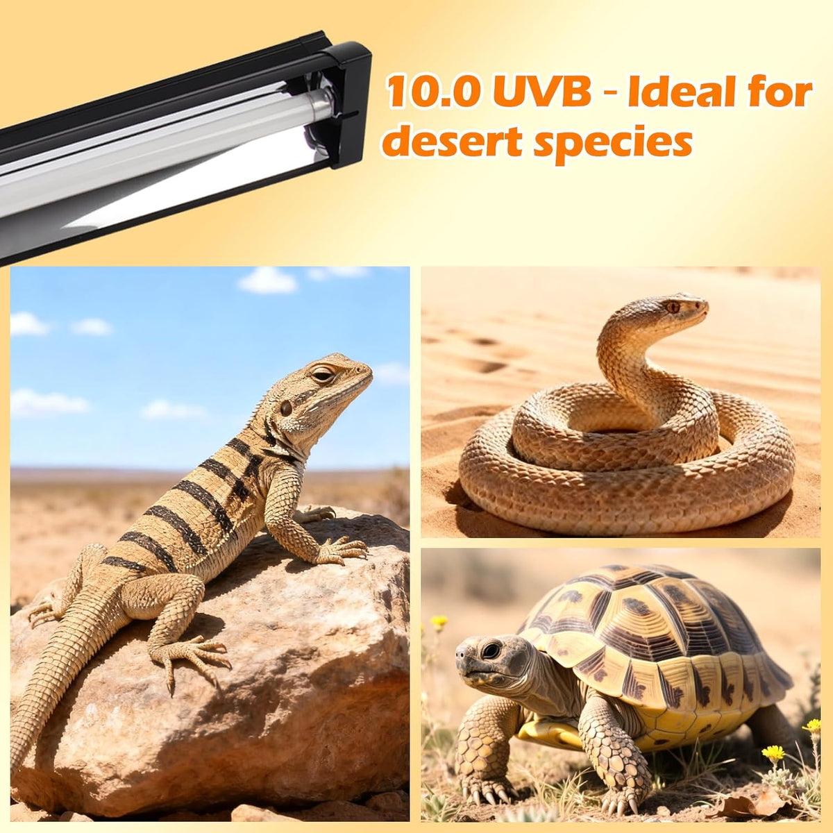 T5 UVB Reptile Light Fixture Combo Kit 8W 10.0 - Complete HO UVB Light for Reptiles with 12.44" Terrarium Hood, Desert UVB Bulb for Bearded Dragon Gecko Tortoise Lizard - Easy to Install and Use - Image 9