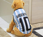 Size chart visual for GabeFish pet football jersey