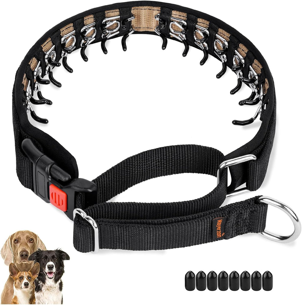 Mayerzon No Pull Dog Collar, Patented Martingale Collar for Small Medium Large Dogs with Buckle and Heavy Duty Nylon for Walking Training Hunting, Safe and Easy to Use(M, Green) - Image 11