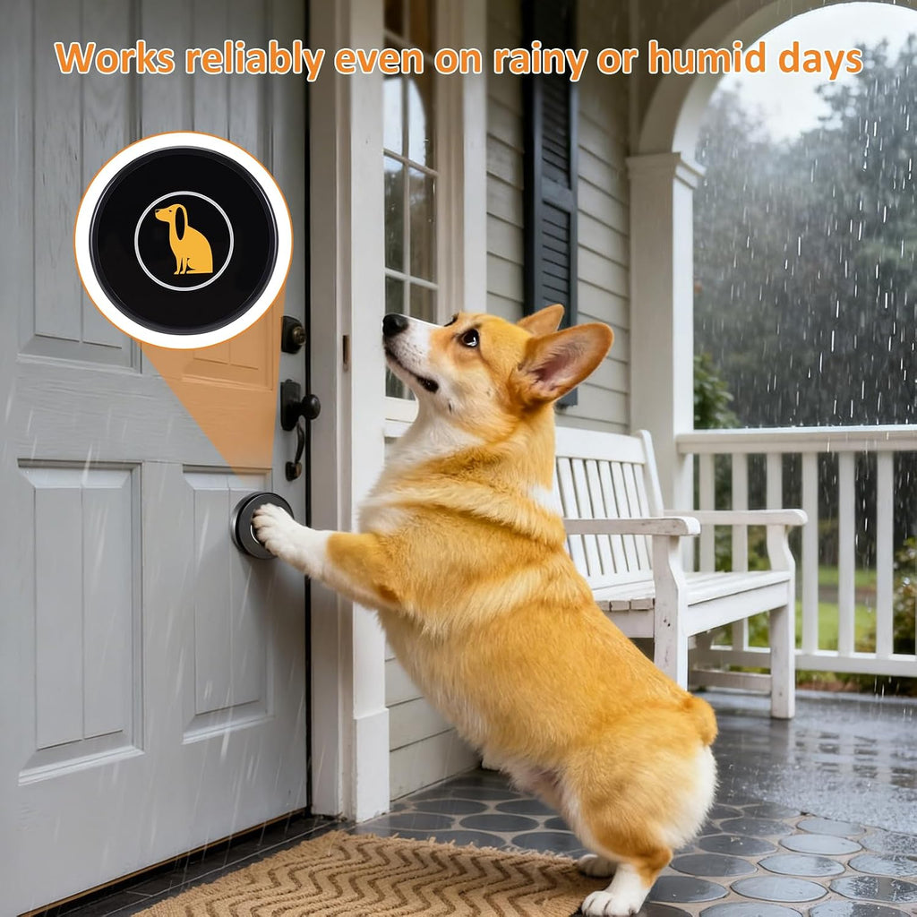 Dog pressing the wireless doorbell to go outside.