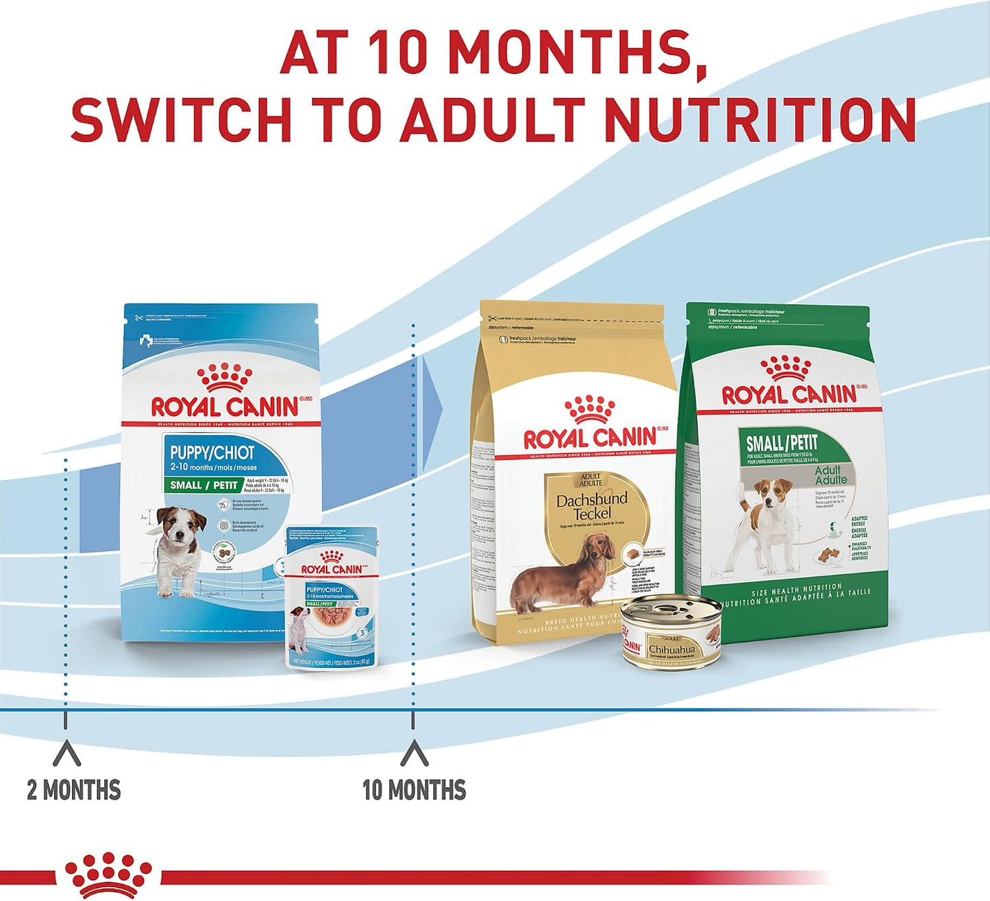 Royal Canin small puppy wet food serving suggestion