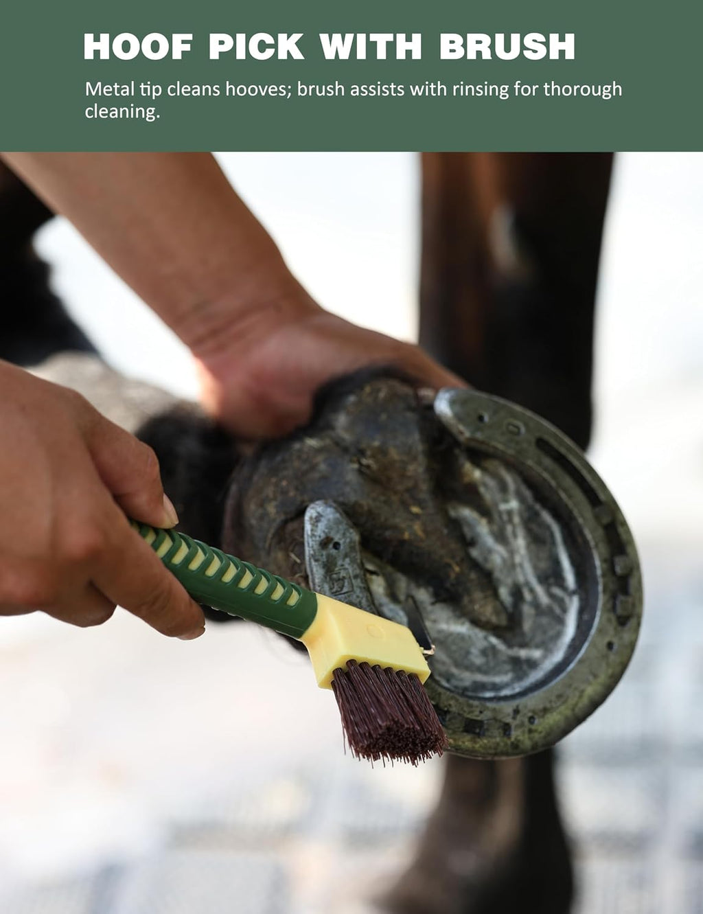 Furrishine round head comb and mane brush showing the gentle teeth engineered for sensitive grooming and styling.