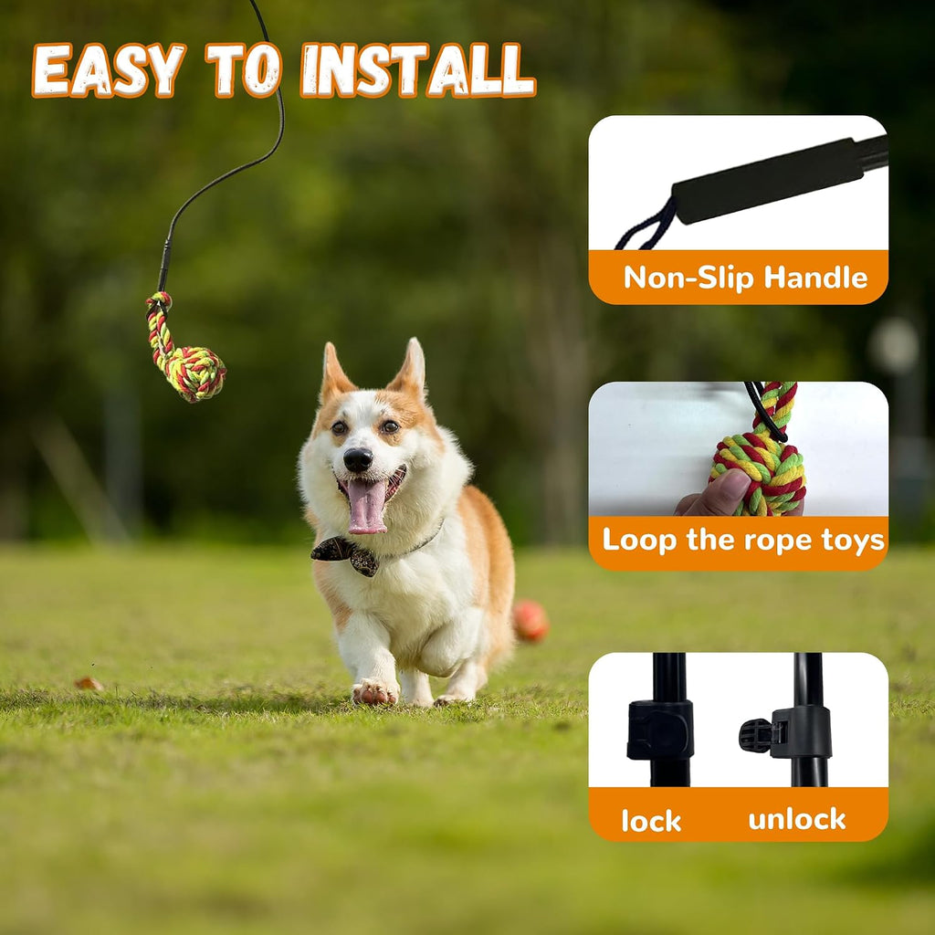 Large dog chasing a plush lure attached to an interactive flirt pole