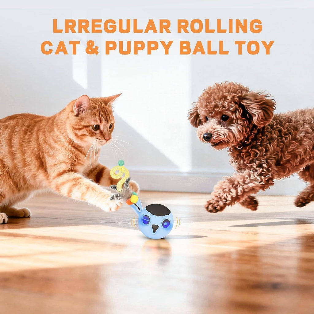Cat playing with Kiwilove electronic chirping ball toy