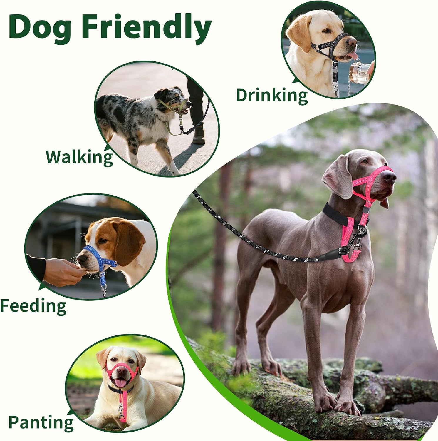 Barkless dog training nose harness showing mouth opening for drinking and treats