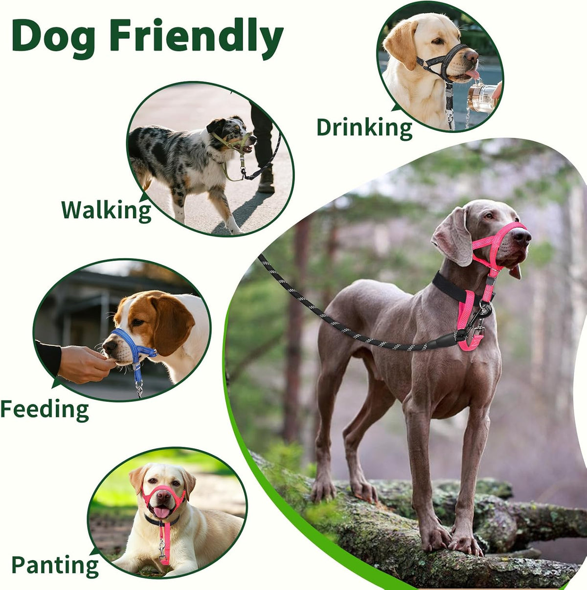 Barkless dog training nose harness showing mouth opening for drinking and treats