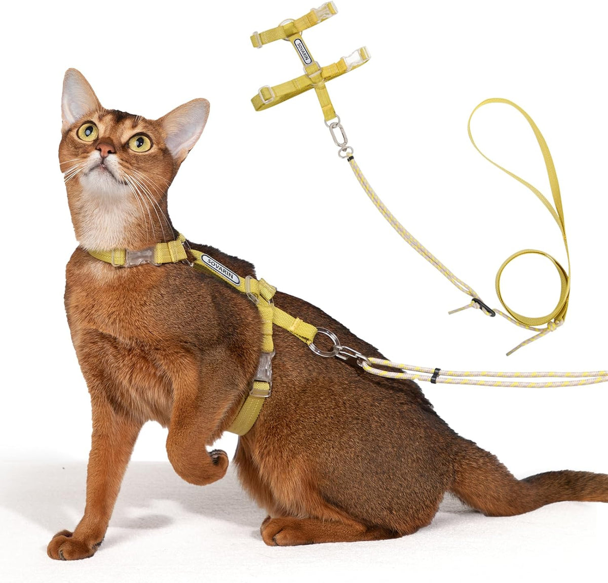 Cat Harness and Leash Set - Green Lightweight Soft Kitten Harness Escape Proof, Adjustable Travel Pet Harness for WalkingEasy Control Comfortable Outdoor (Green, One Size Fits All) - Image 11