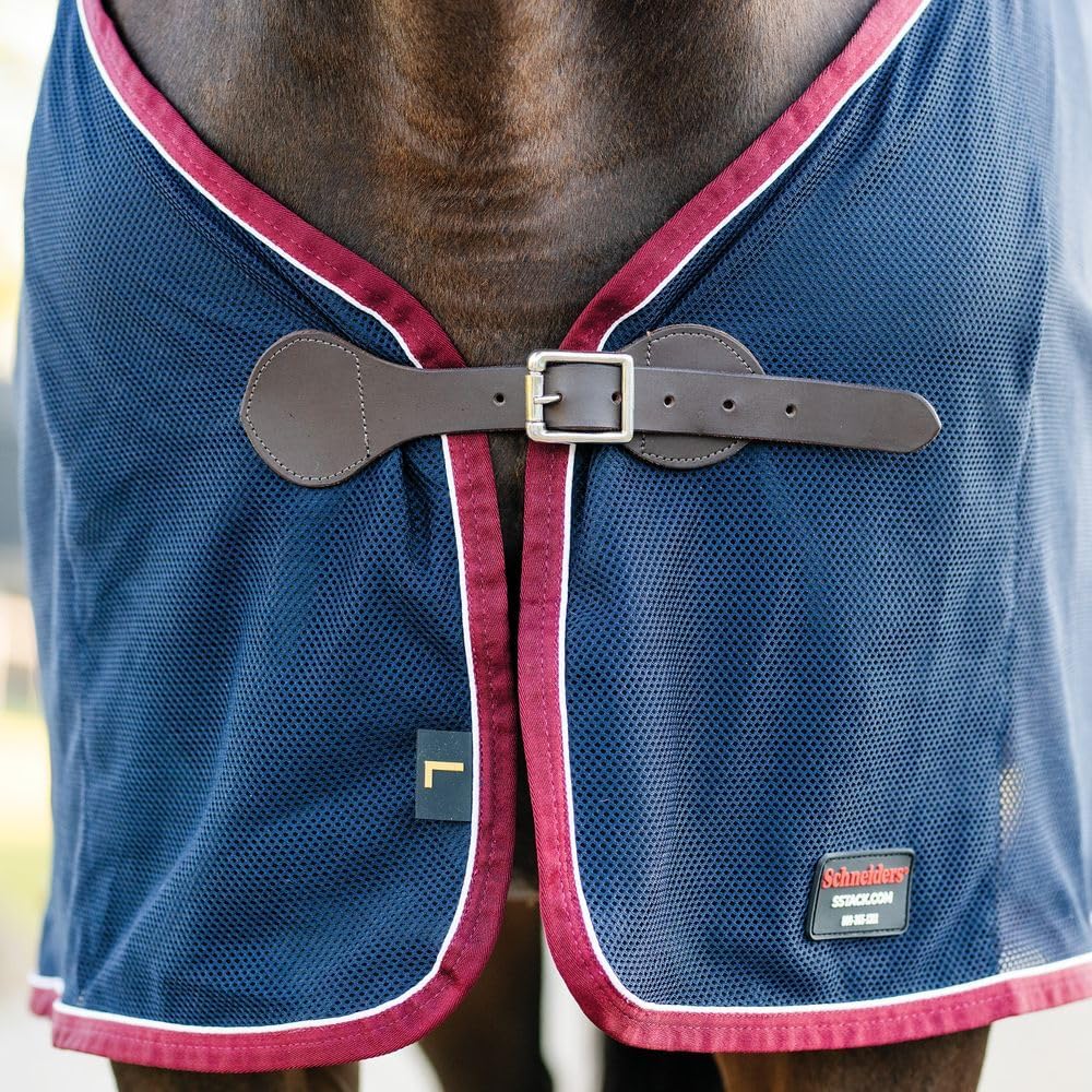Schneiders breathable horse show blanket displaying elegant white piping details.