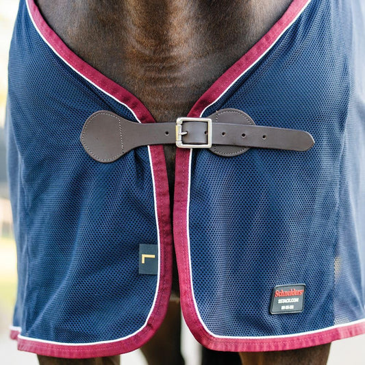 Schneiders breathable horse show blanket displaying elegant white piping details.