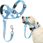 Domiglow no pull dog head collar in blue front view on a large training dog
