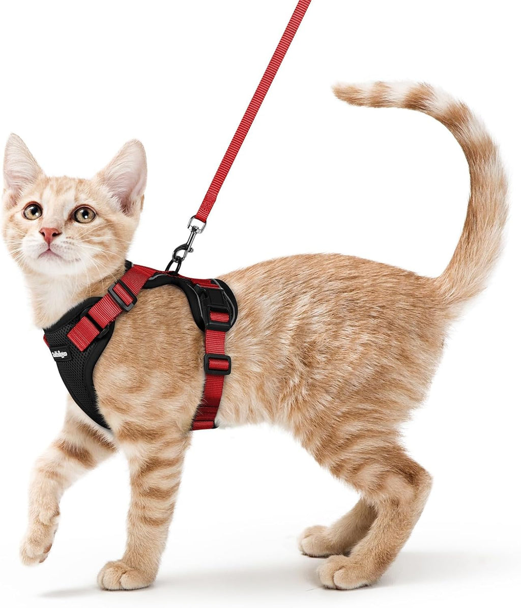 rabbitgoo Escape Proof Cat Harness and Leash Set, Xs, Black | 4-point Adjustable, Quick-snap Buckles, All-weather Mesh, Secure Leash Clip, Reflective Strips, for Small & Average Cats - Image 11