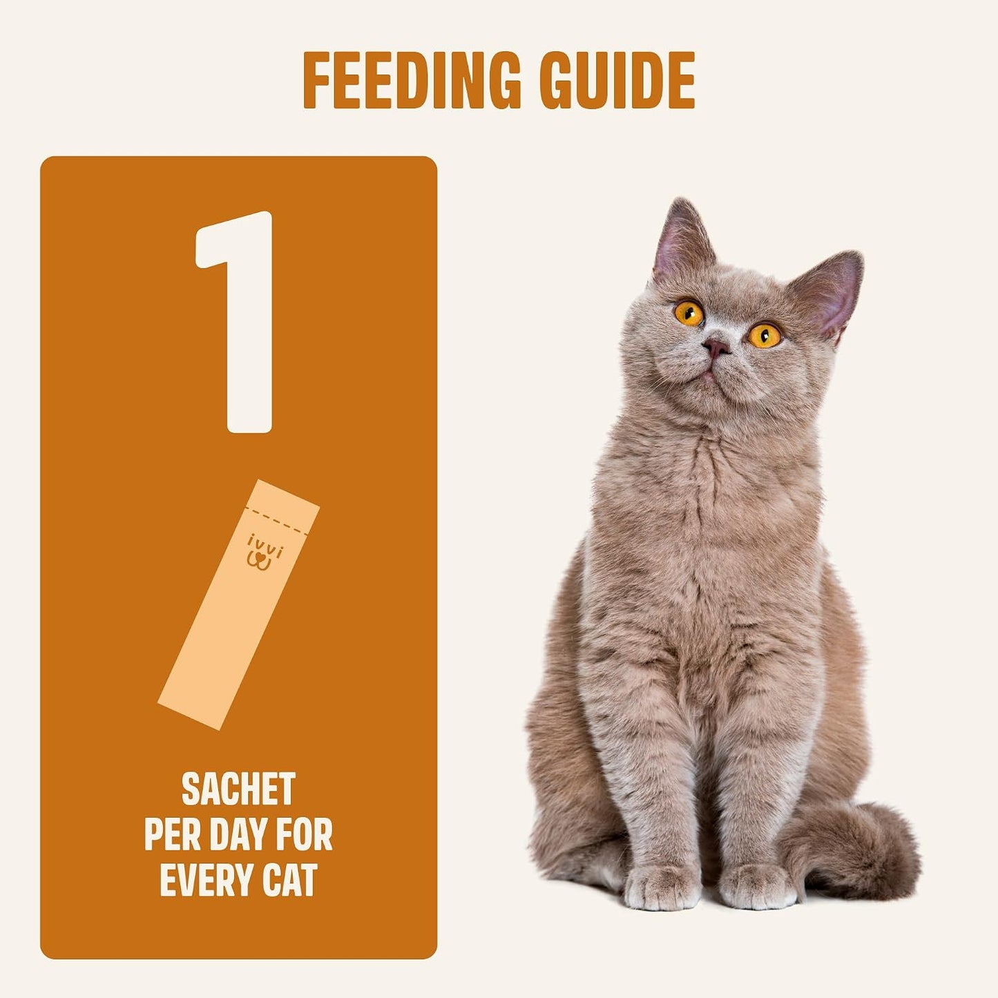 Cat eating Ivvi salmon oil supplement directly from stick