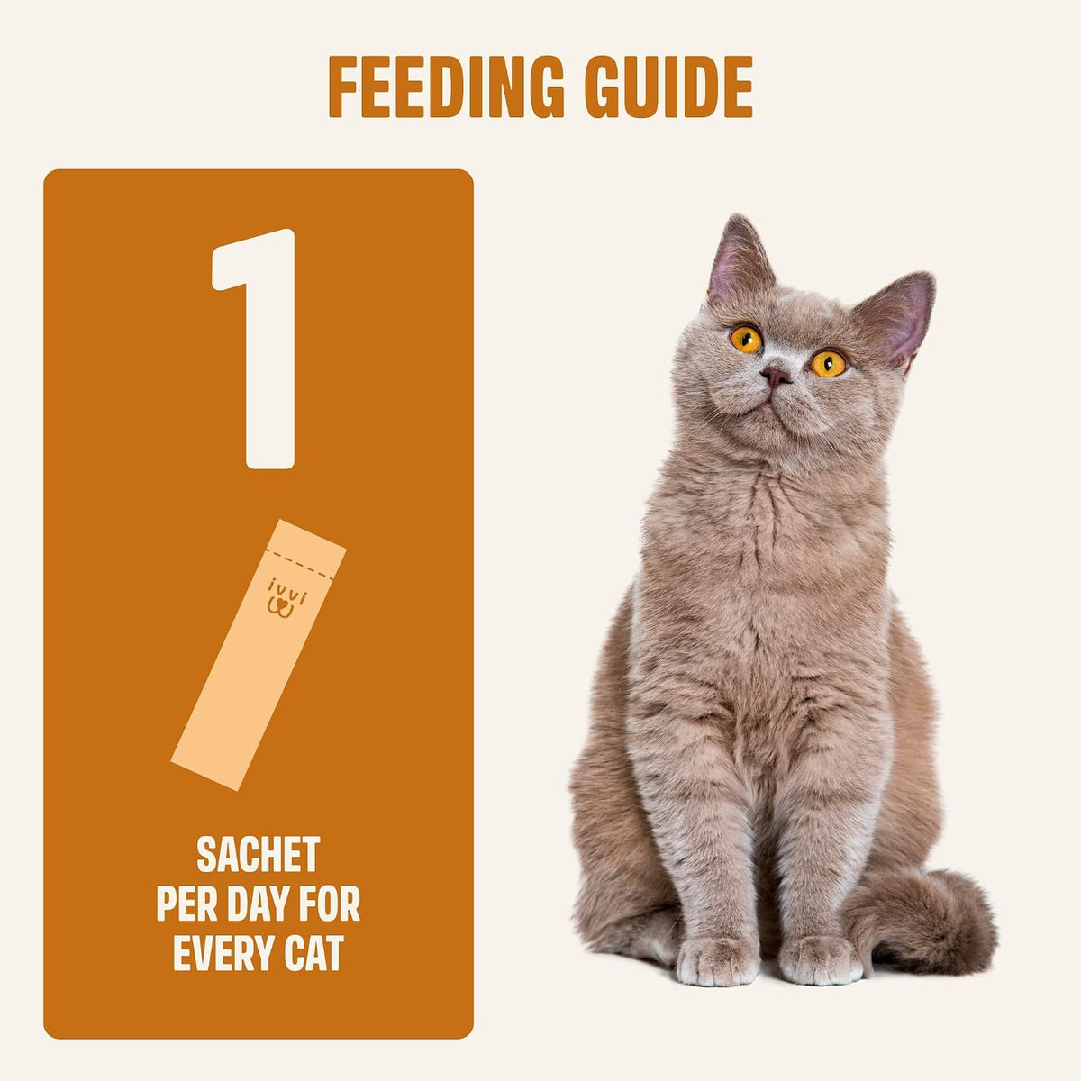 Cat eating Ivvi salmon oil supplement directly from stick