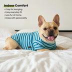 Close up of breathable cotton spandex pet shirt sleeves