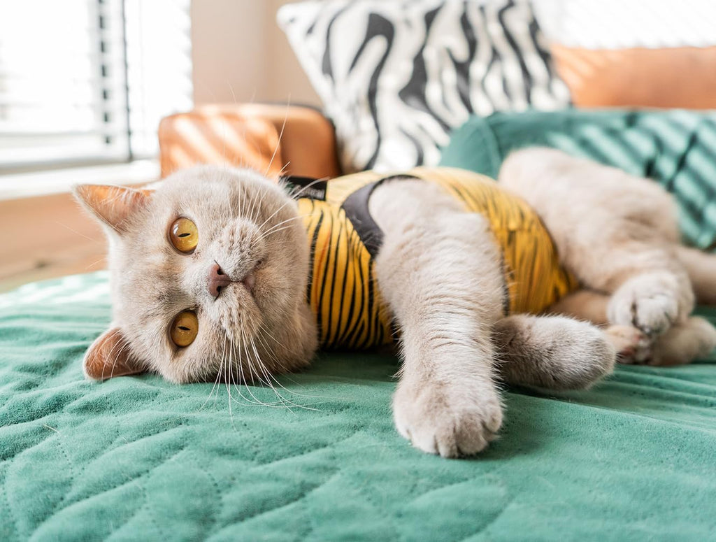 Suitical cat suit showing back opening design