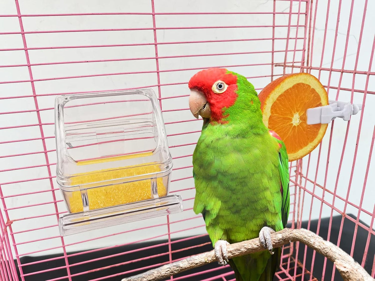 Oribuki transparent seed tray for budgie and finch cages