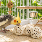 Bonka bird toys packaging and product angle