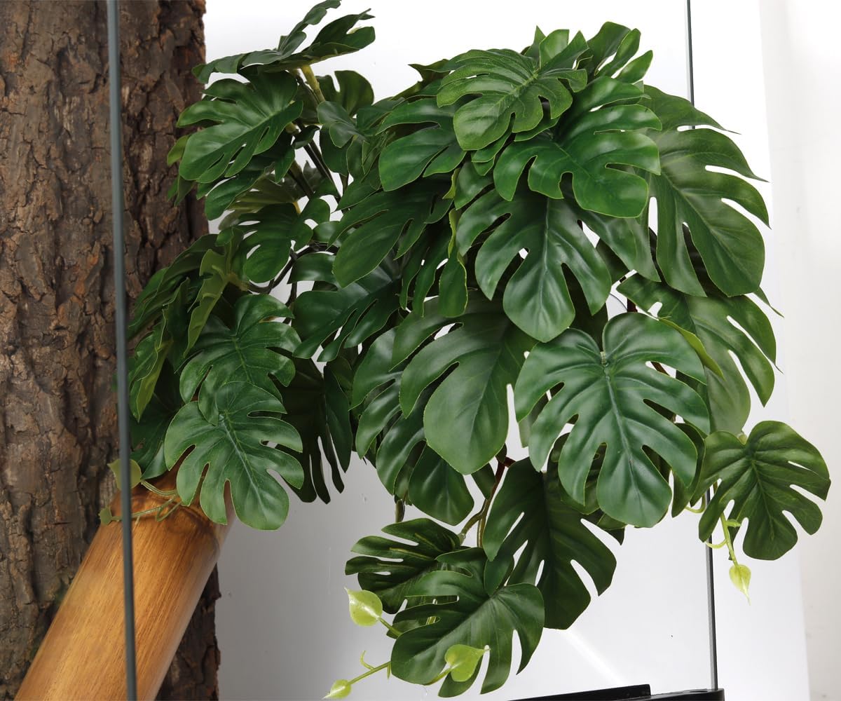 Detailed view of suction cup on Woledoe fake plant