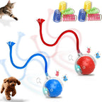Petayouj interactive electric pet chasing ball set front view
